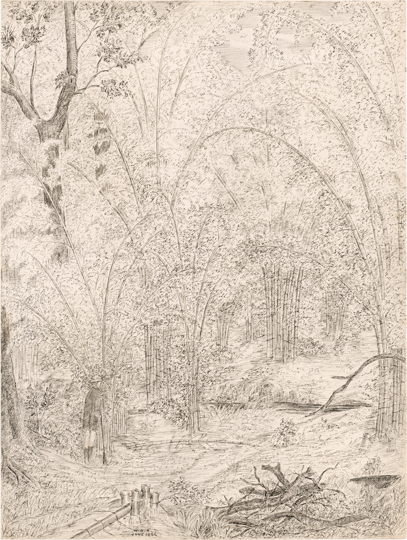 Lot 6898, Auction  125, Englisch, 1866. Im indischen Bambuswald