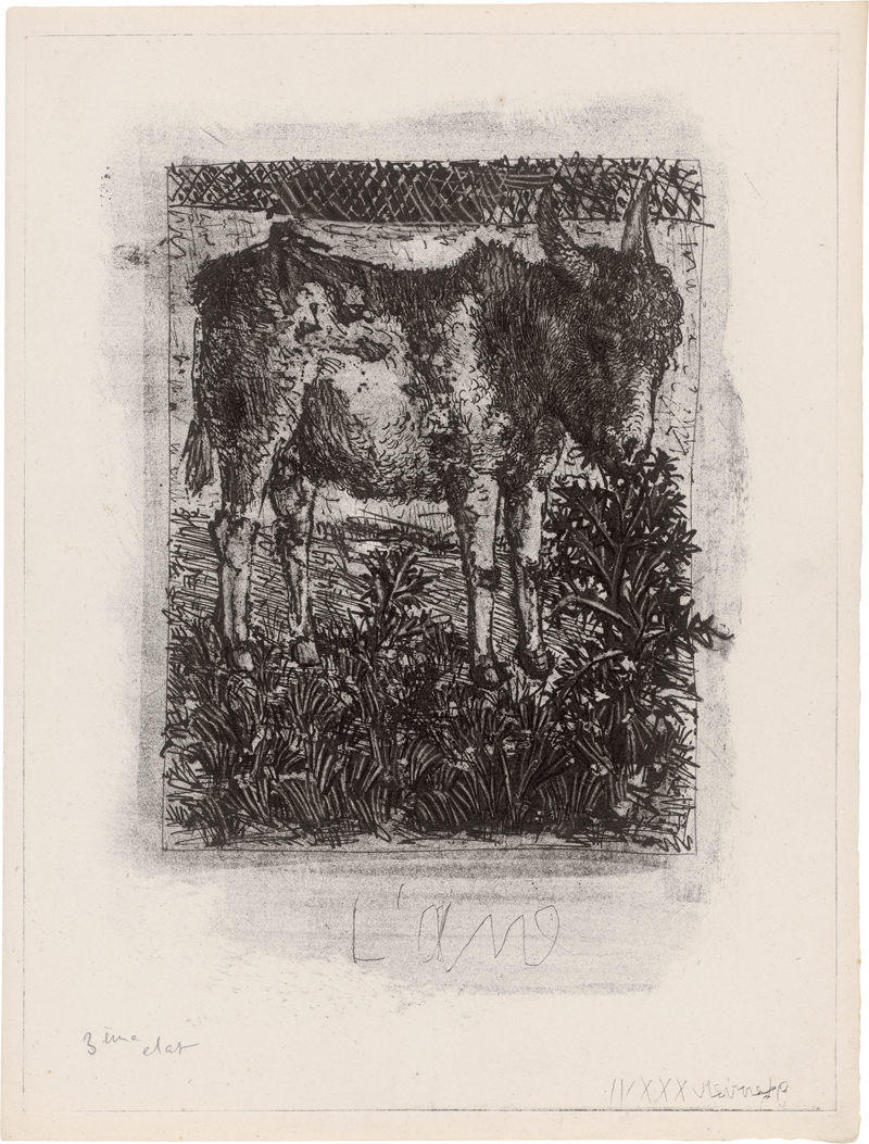 Lot 7195, Auction  125, Picasso, Pablo, L'Âne