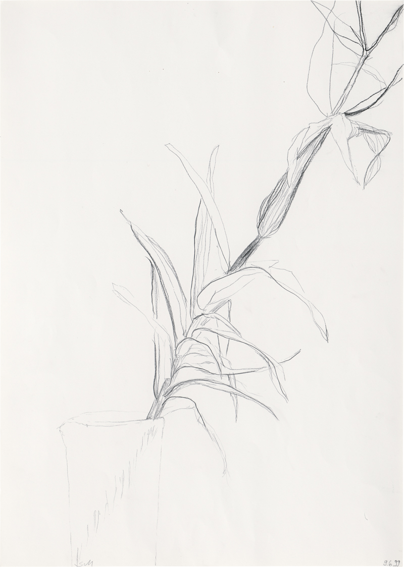 Lot 7337, Auction  125, Moritz, Sabine, Lilie