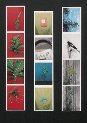 Los 4240 - Wenzel, Jan - Untitled - 3 - thumb