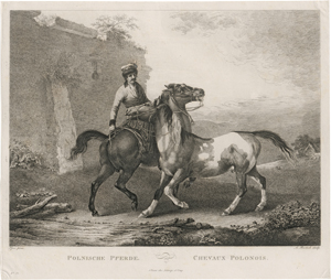 Lot 5264, Auction  126, Bartsch, Adam von, Ca. 79 Blatt aus dem druckgraphischen Œuvre des Künstlers