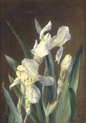 Lot 6220, Auction  126, ‫Dänisch, 1901. Studie mit weißen Iris