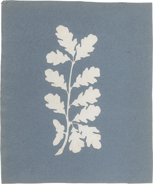 Los 6640 - Runge, Philipp Otto - Eichenzweig - 0 - thumb