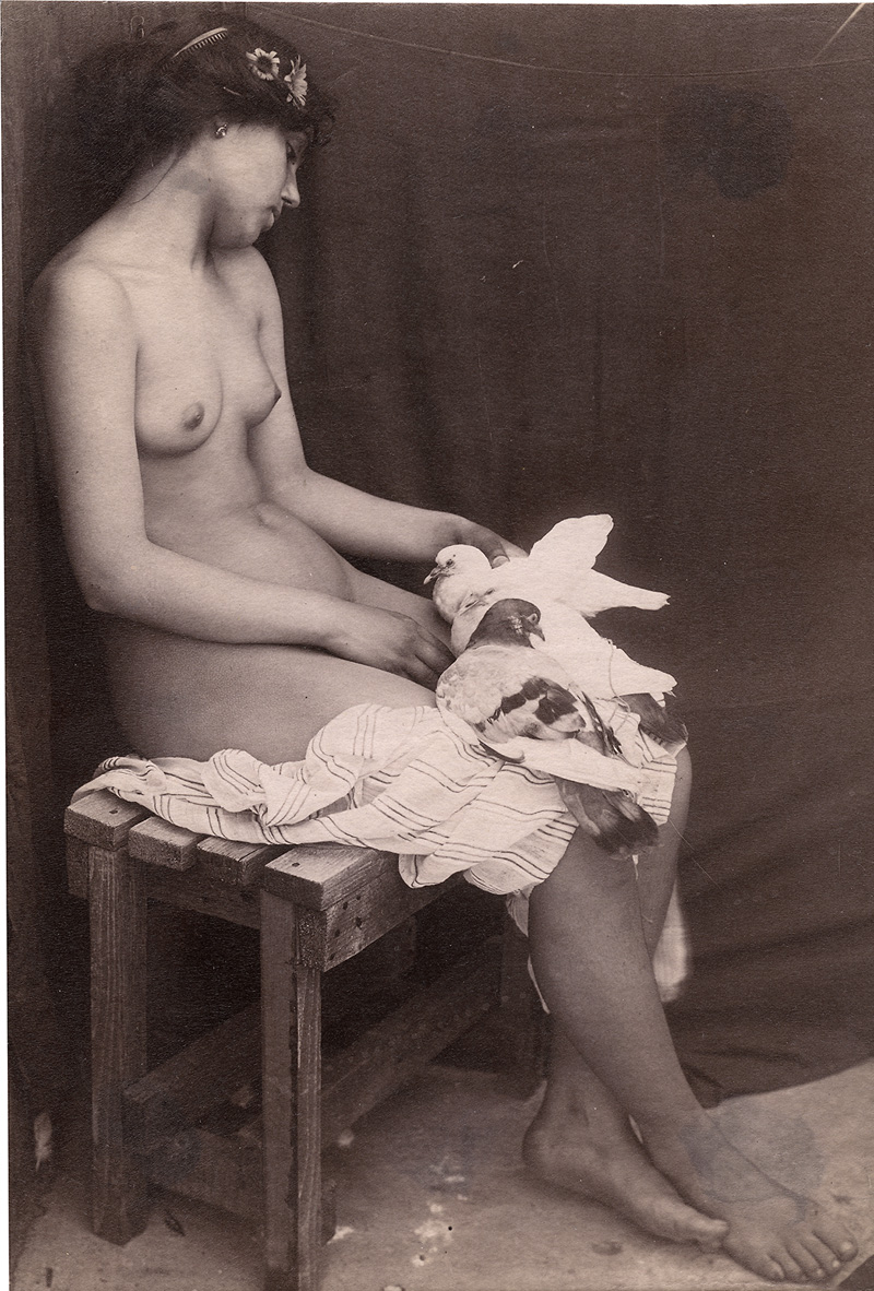 Lot 4040, Auction  126, Galdi, Vincenzo, Seated nude with doves