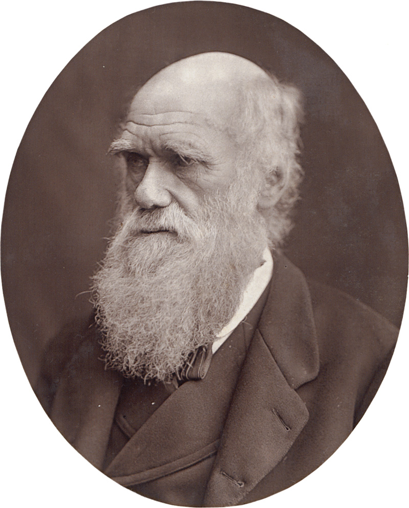 Lot 4069, Auction  126, Men of Mark, Heinrich Schliemann, Charles Darwin and Jules Verne