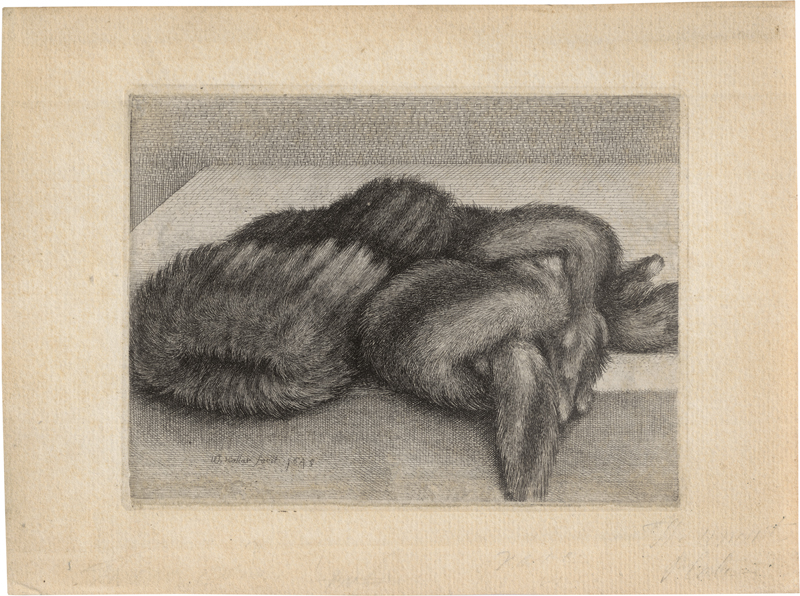 Lot 5137, Auction  126, Hollar, Wenzel, Gestreifter Muff und Pelzboa