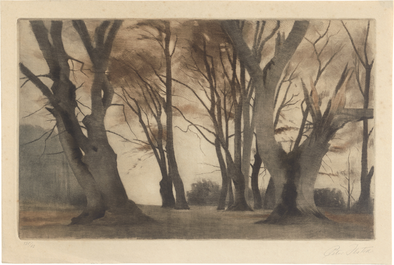 Lot 5381, Auction 126, Ilsted, Peter, Buchen in Ermelunden