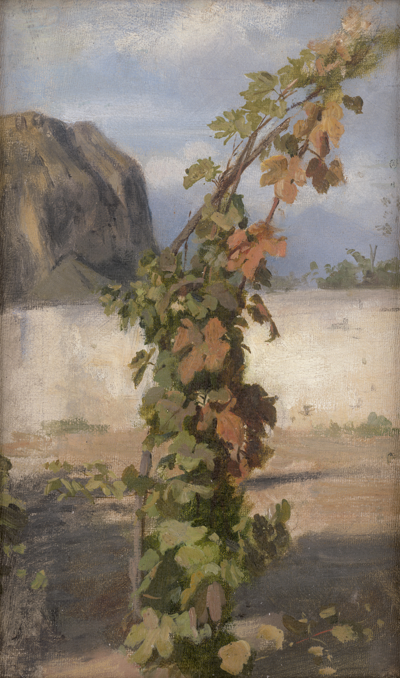 Lot 6088, Auction 126, Schick, Rudolf, Weinstock am Monte Brione am Nordufer des Gardasees