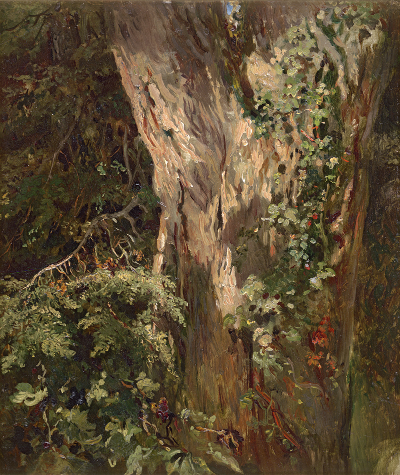 Lot 6212, Auction  126, Französisch, um 1860. Studie einer bewachsenen Eiche