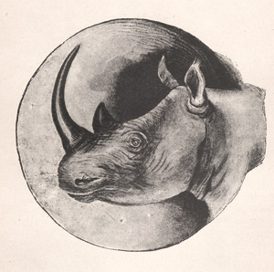 Lot 51, Auction  127, Jameson, James Sligo, Forschungen und Erlebnisse im ''Dunkelsten Afrika''. Geschichte der Nachhut 