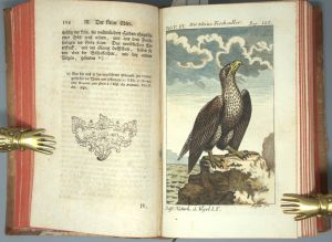 Los 348 - Buffon, Georges Louis Leclerc Comte de - Naturgeschichte der vierfüßigen Thiere [und:] Vögel.  - 3 - thumb