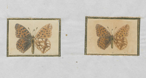 Los 362 - Spätbiedermeierliche Sammlung von ca. 135  aquarellierten Naturselbstdrucken - von verschiedenen Schmetterlingen und Motten - 2 - thumb