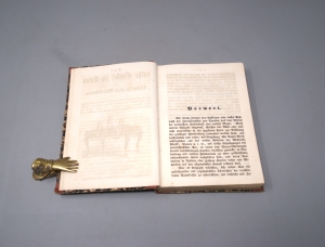 Los 477 - rothe Teufel im Salon, Der - oder Bosco in allen Gesellschaften - 3 - thumb