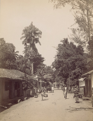 Los 4039 - Ceylon - People and Landscapes of Ceylon - 1 - thumb