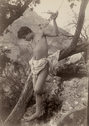 Lot 4071, Auction  127, Gloeden, Wilhelm von, Young boy leaning on tree branch