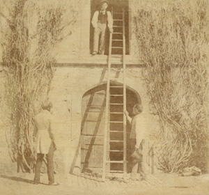 Lot 4118, Auction  127, Talbot, William Henry Fox, The Ladder
