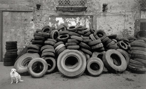 Lot 4267, Auction  127, Sammallahti, Pentti, Cilento, Italy (Dog and tire pile) 