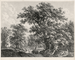 Lot 5282, Auction  127, Kolbe, Carl Wilhelm, Waldlandschaft mit zwei großen Eichen