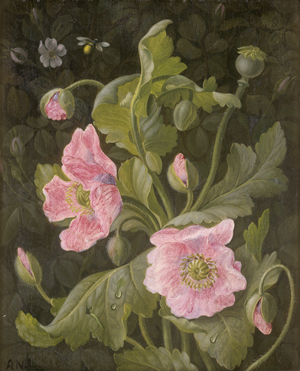 Lot 6056, Auction  127, Nørbye, Anna L. Vilhelmine, Rosa Klatschmohn
