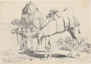 Lot 6335, Auction  127, Sattler, Hubert, Lastenkamele in einem Beduinenlager