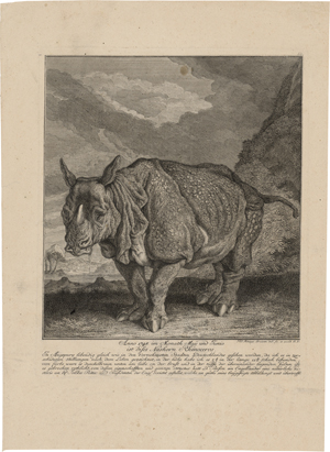 Lot 6361, Auction  127, Ridinger, Johann Elias, Rhinocerus ("Miss Clara")