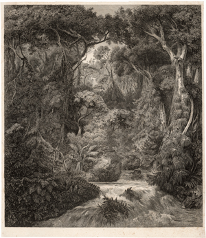 Lot 6383, Auction  127, Königsbrunn, Hermann Freiherr von - nach, Urwald auf Ceylon