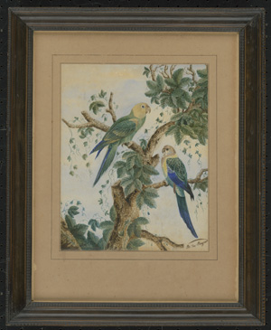 Los 6456 - Französisch - 19. Jh. Zwei Papageien mit grün-blauem Gefieder - 1 - thumb