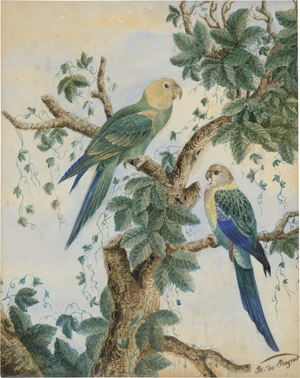Lot 6456, Auction  127, Französisch, 19. Jh. Zwei Papageien mit grün-blauem Gefieder