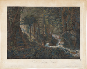 Lot 6459, Auction  127, Clarac, Charles-Othon-Frédéric Comte de - nach, "Forêt vierge du Brésil"