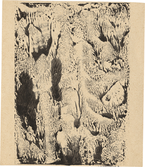 Lot 6719, Auction  127, Schulda, Carl, Korallen