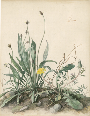 Lot 6744, Auction  127, Lindenau, Erich, Wiesenstück mit Löwenzahn