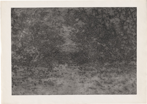Lot 7223, Auction  127, Kučerová, Alena, Ohne Titel (Waldwiese)