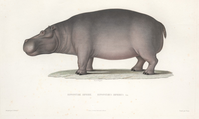 Lot 54, Auction  127, Lefebvre, Théophile, Voyage en Abyssinie exécuté pendant les années 1839, 1840, 1841, 1842, 1843