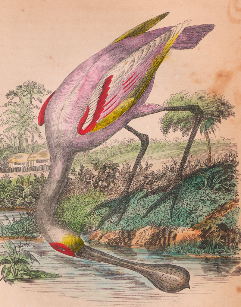 Lot 79, Auction  127, Kidder, Daniel P. und Fletcher, James C., Brazil and the Brazilians, portrayed in historical and descriptive Sketches