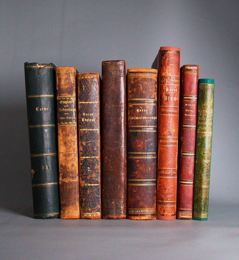 Lot 307, Auction  127, Carus, Carl Gustav, Konvolut von 11 Werken