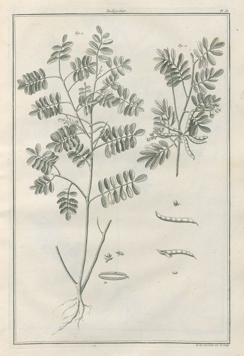 Lot 381, Auction  127, Beauvais-Raseau, Paul de, L'art de l'indigotier