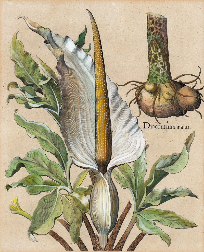 Lot 1041, Auction  127, Neuschloß, Kontorbuch aus der Kaunitz-Bibliothek Neuschloß. Deutsche Handschrift auf Papier