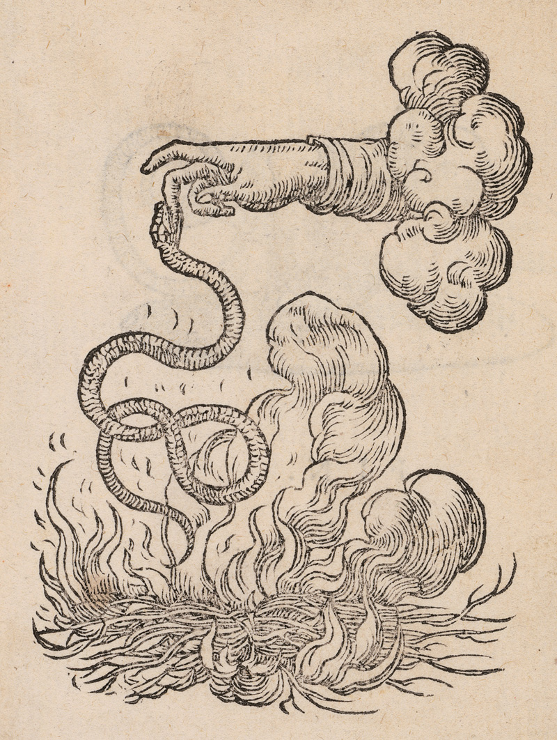 Lot 1175, Auction  127, Paradin, Claude, Devises Heroiques. Lyon, Jean de Tournes, 1551. - Erste Ausgabe der ersten Sammlung von Sinnbildern, die zur Erklärung verschiedener Embleme dienen