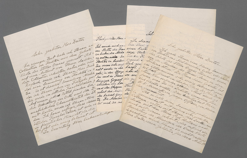 Lot 2570, Auction  127, Palibin, Iwan Wladimirowitsch, 4 Briefe an einen Fachkollegen. St. Petersburg 1909-1912