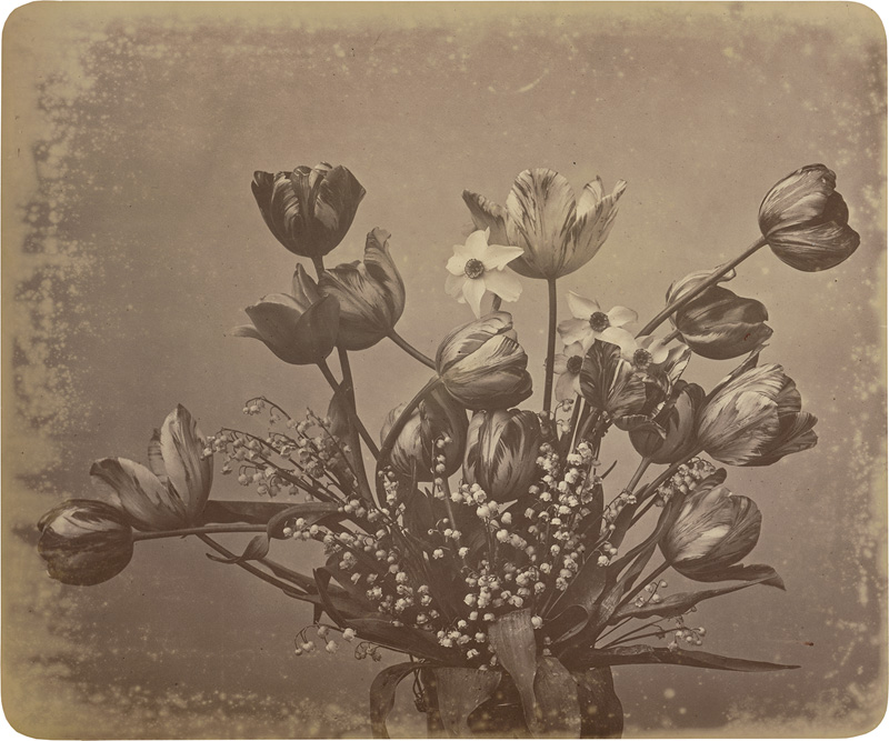 Lot 4027, Auction  127, Braun, Adolphe, Flower study