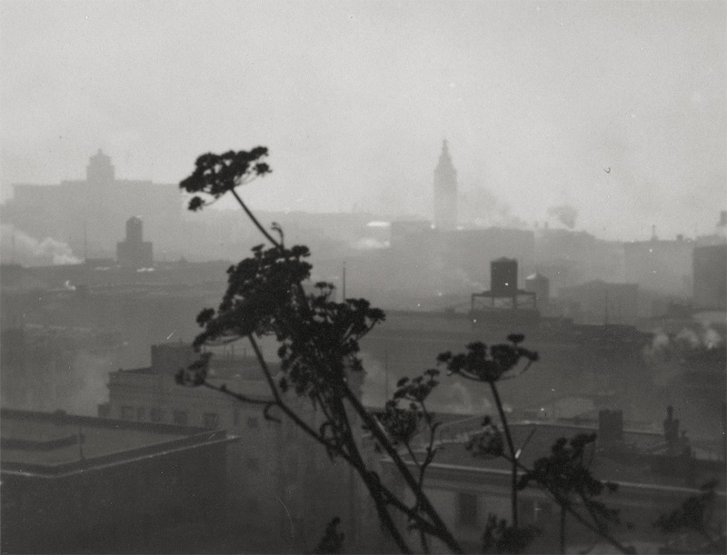Lot 4158, Auction  127, Dassonville, William E., San Francisco skyline