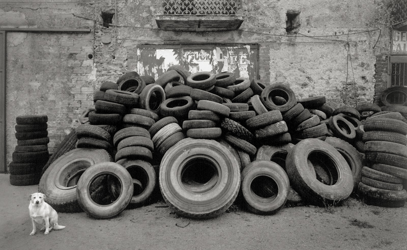Lot 4267, Auction  127, Sammallahti, Pentti, Cilento, Italy (Dog and tire pile) 
