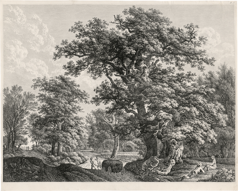 Lot 5282, Auction  127, Kolbe, Carl Wilhelm, Waldlandschaft mit zwei großen Eichen