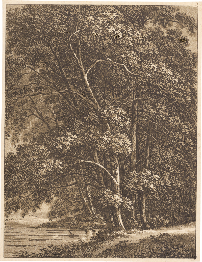Lot 5349, Auction  127, Günther, Christian August, Charakteristische Darstellung der meisten deutschen Hölzer...
