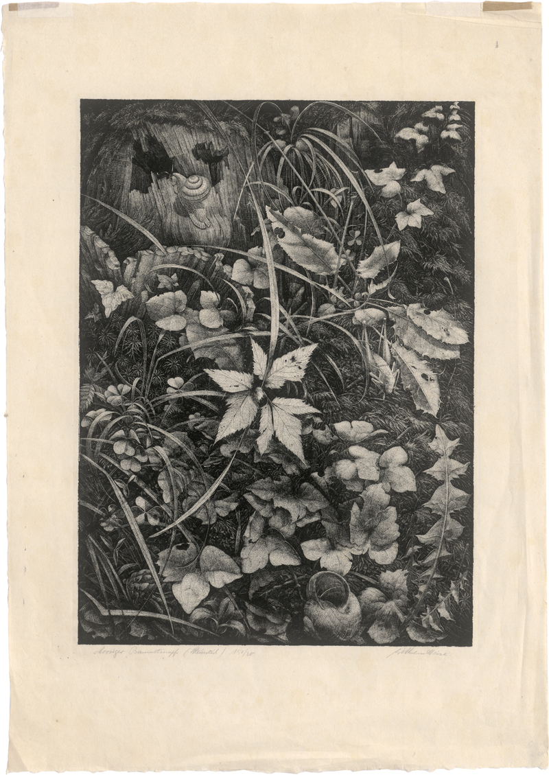 Lot 5395, Auction  127, Heise, Wilhelm, Moosiger Baumstumpf