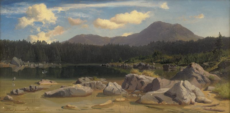 Lot 6096, Auction  127, Zimmermann, Albert August, Voralpenlandschaft mit Weiher