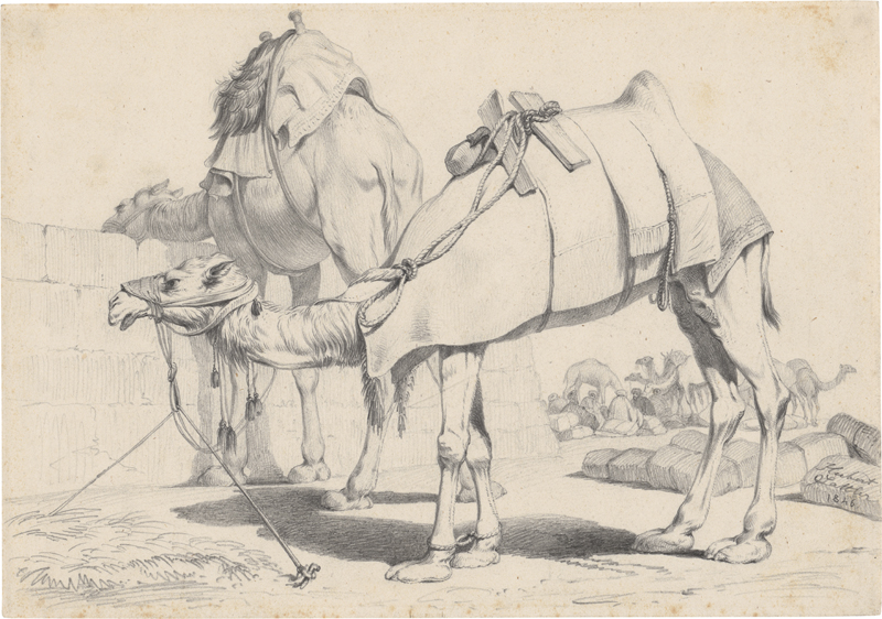 Lot 6335, Auction  127, Sattler, Hubert, Lastenkamele in einem Beduinenlager