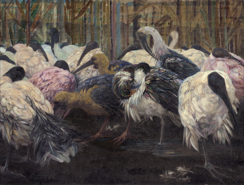 Lot 6352, Auction  127, Neuenborn, Paul, Ibisse im Schilf