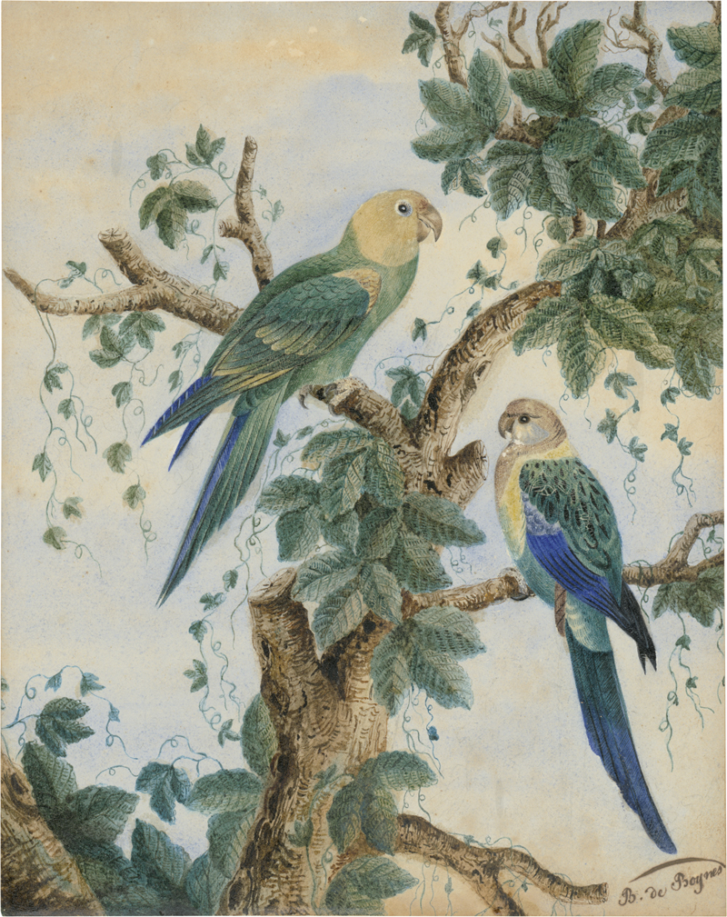 Lot 6456, Auction  127, Französisch, 19. Jh. Zwei Papageien mit grün-blauem Gefieder