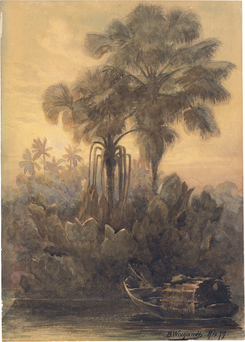 Lot 6462, Auction  127, Wiegandt, Bernhard, Brasilianischer Urwald
